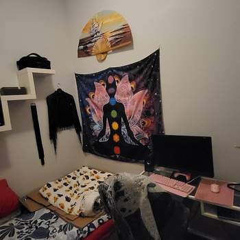 foto 6