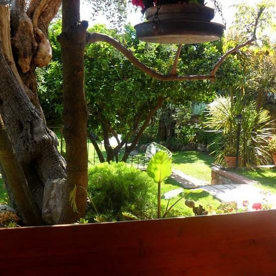 foto 6